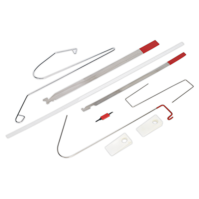 Professional Lockout Tool Kit