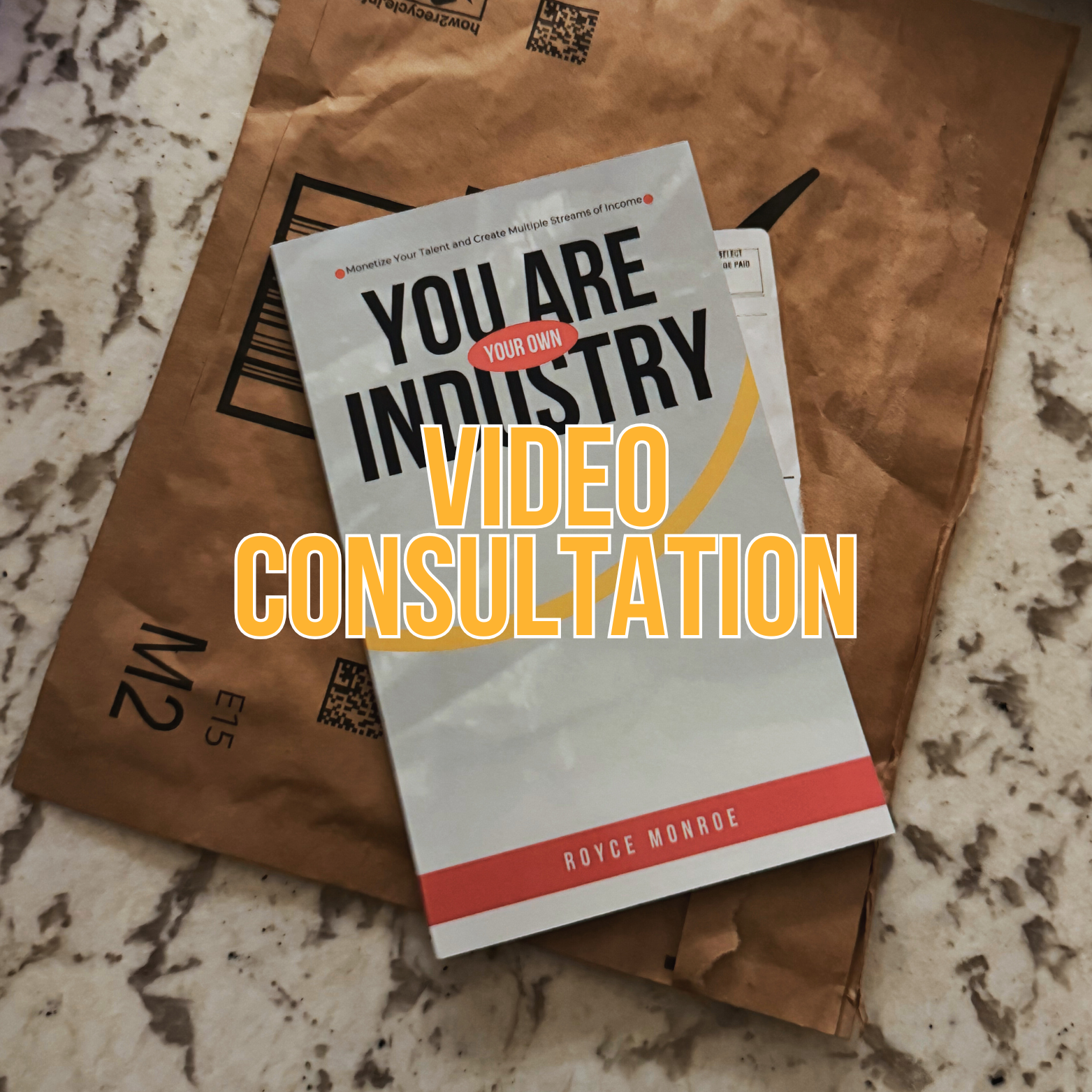 You Are Your Own Industry Book