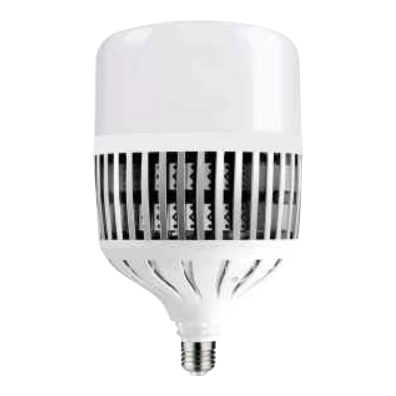 FIBIT-B116 LED PROJECT BULB