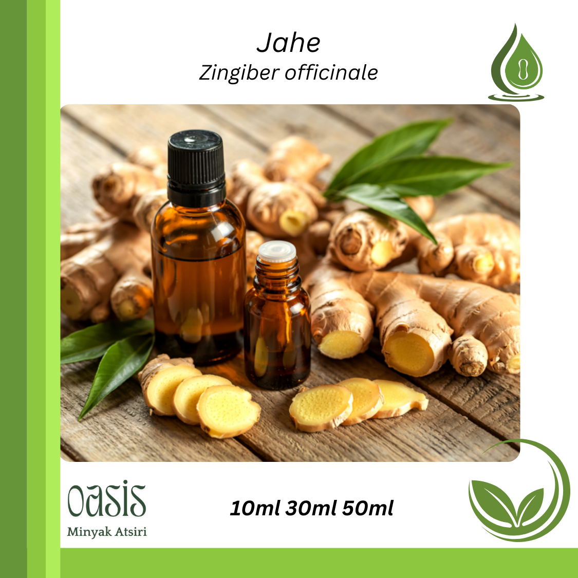 Ginger oil/ Jahe