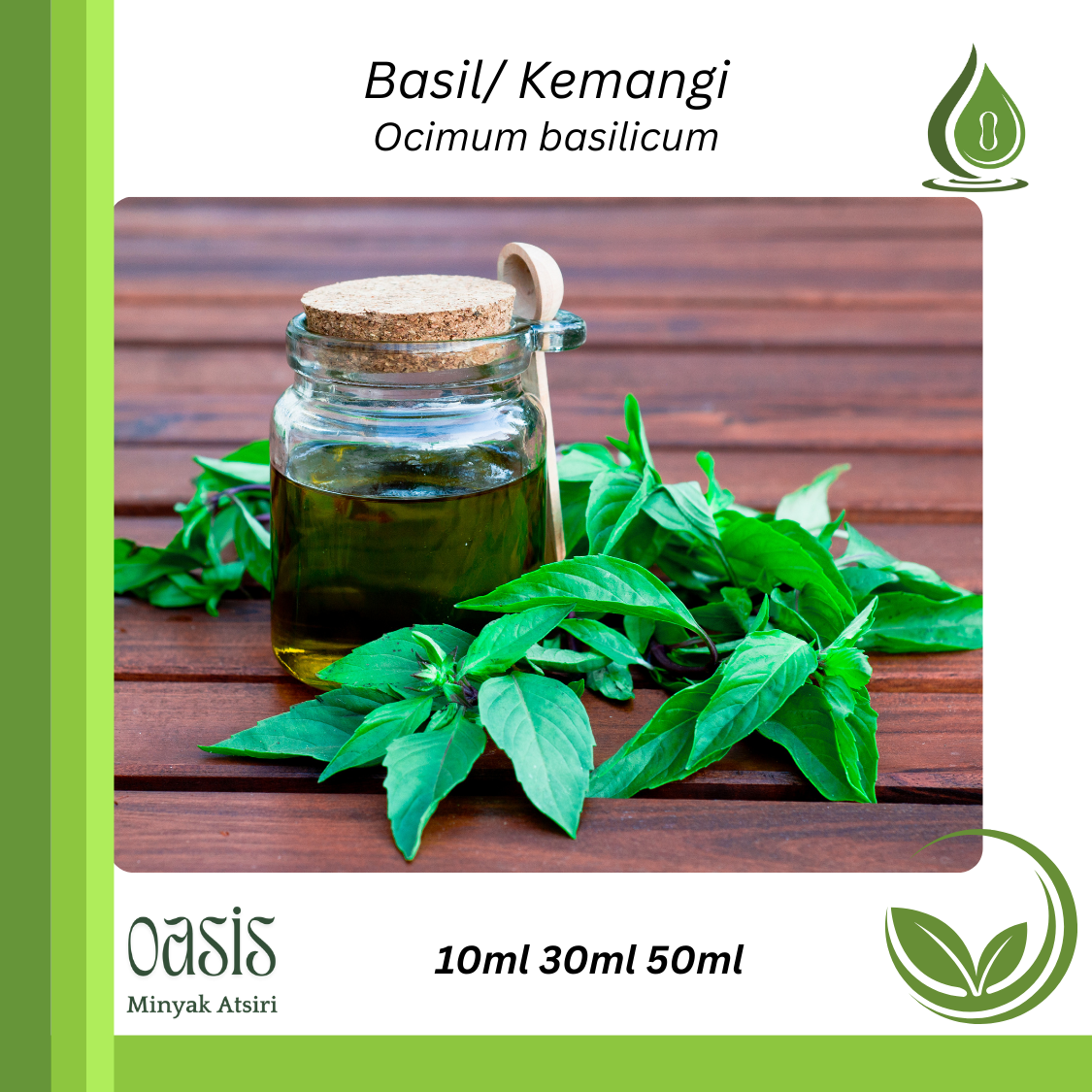 Basil oil/ Kemangi