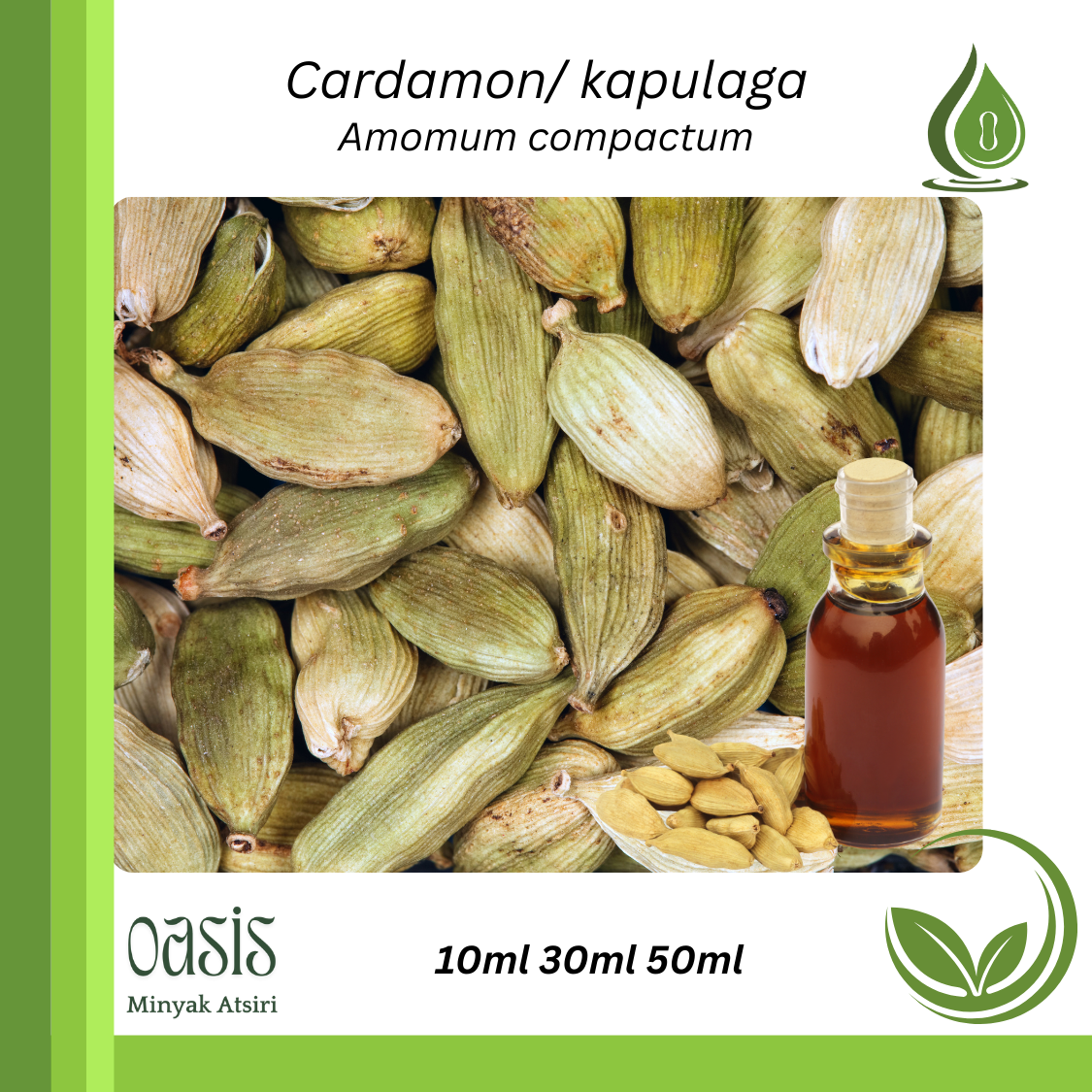 Cardamom oil/ Kapulaga