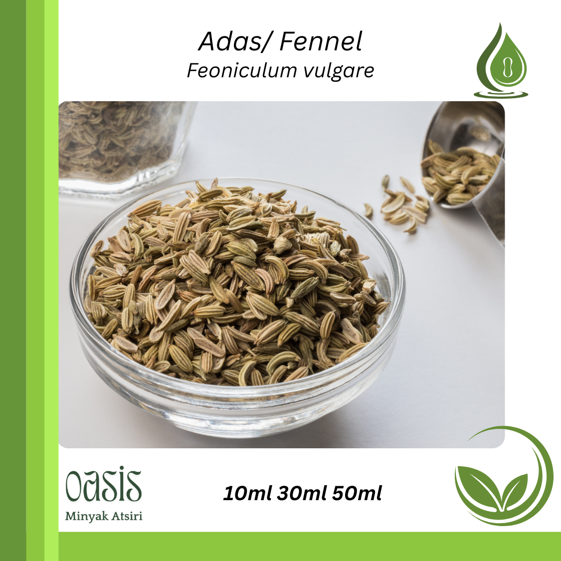 Fennel oil/ Adas
