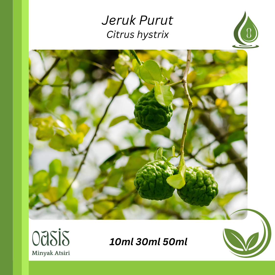 Kaffirlime oil/ Jeruk purut