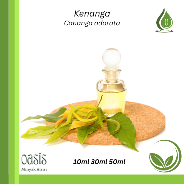 Ylang ylang oil/ Kenanga