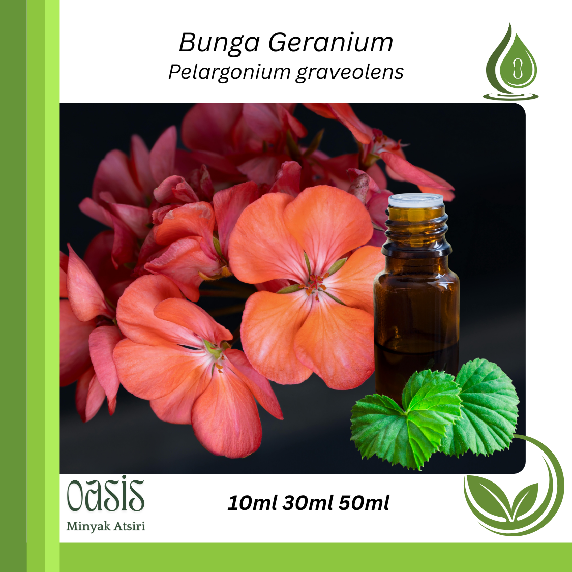 Geranium oil