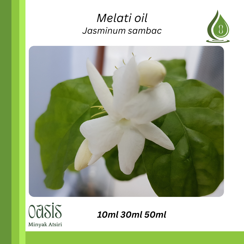 Melati oil