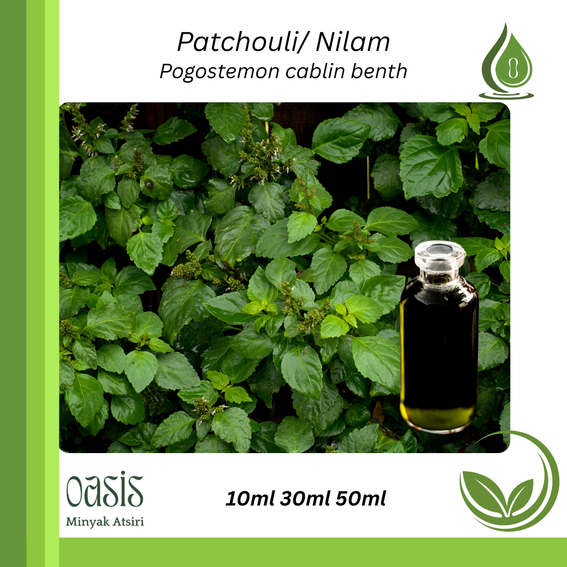Patchouli oil/ Nilam