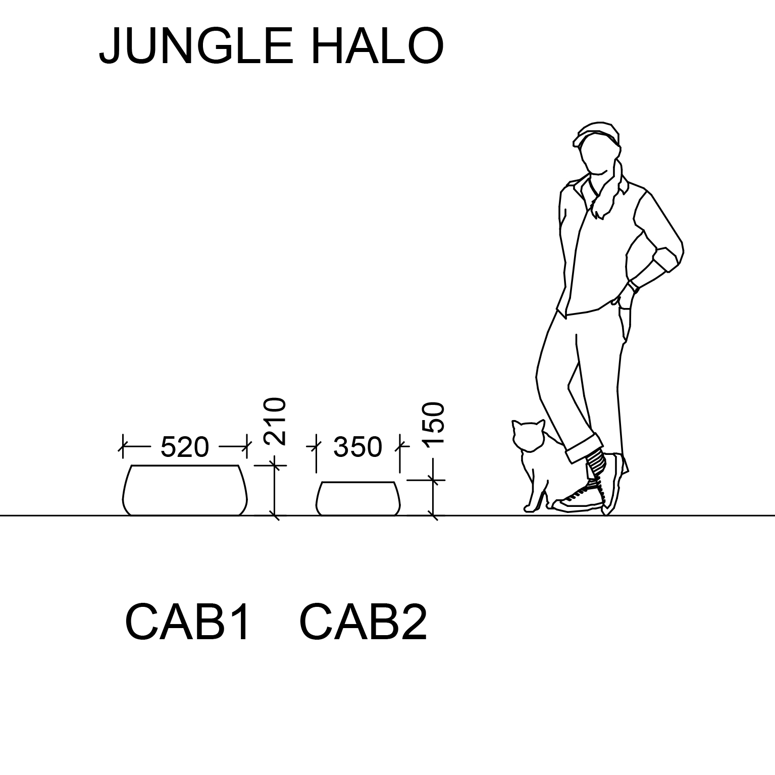 Jungle Halo