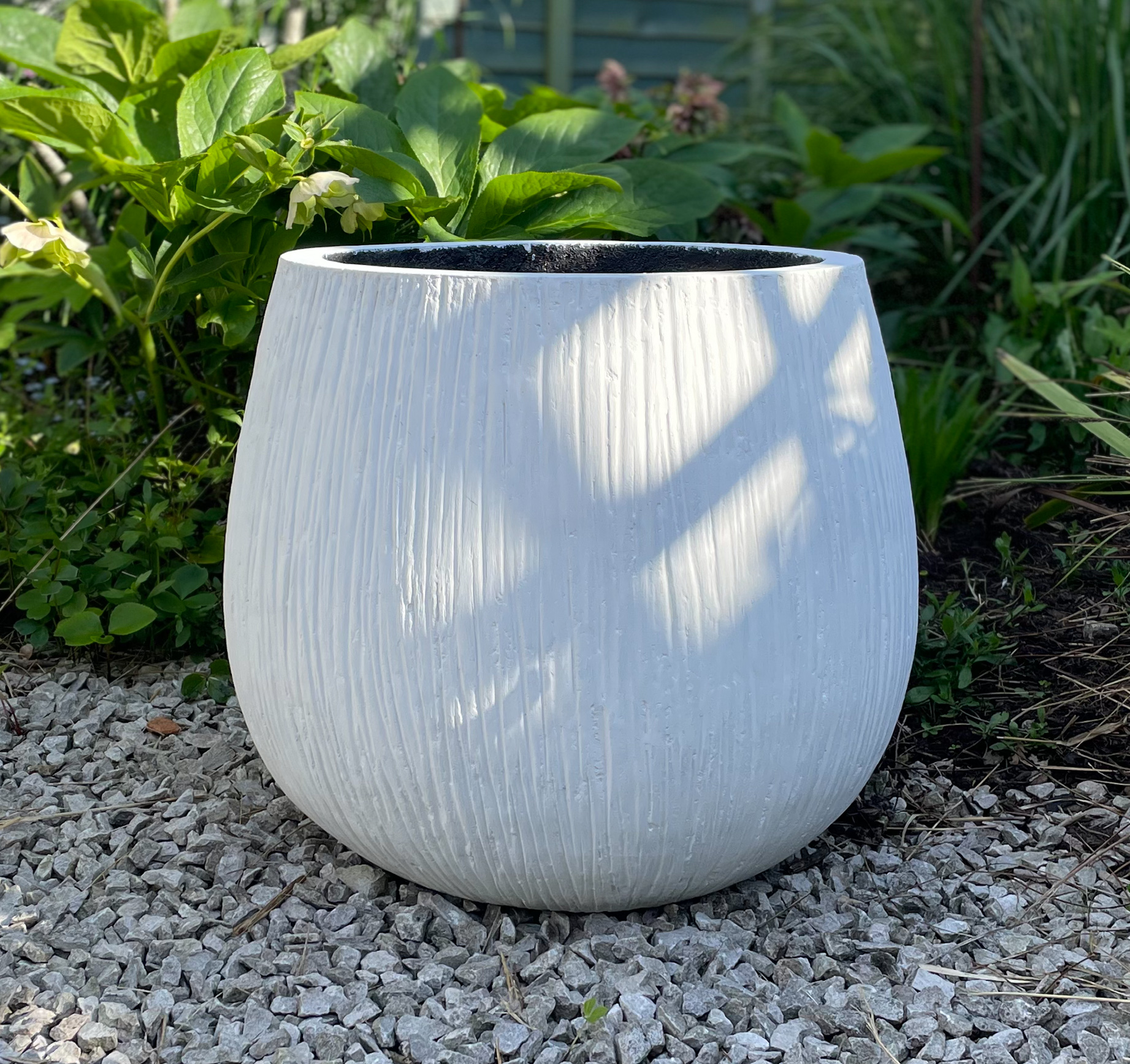 Birch Bulb