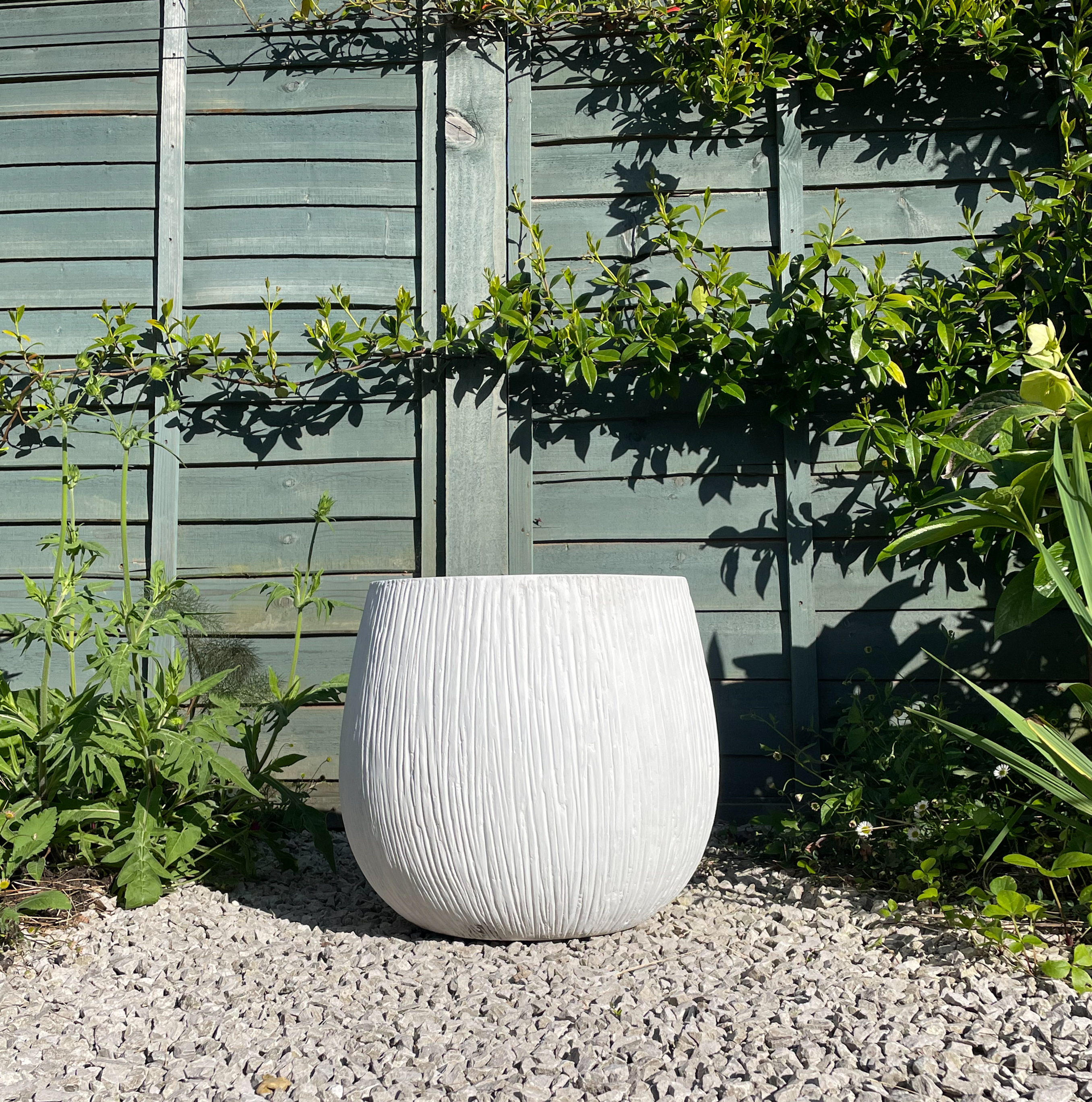 Birch Bulb