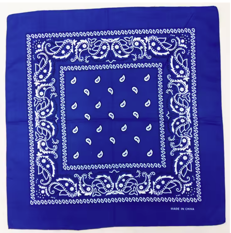 Blue Paisley Bandana