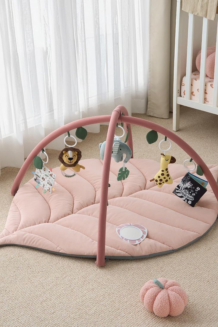 Baby Play Gym