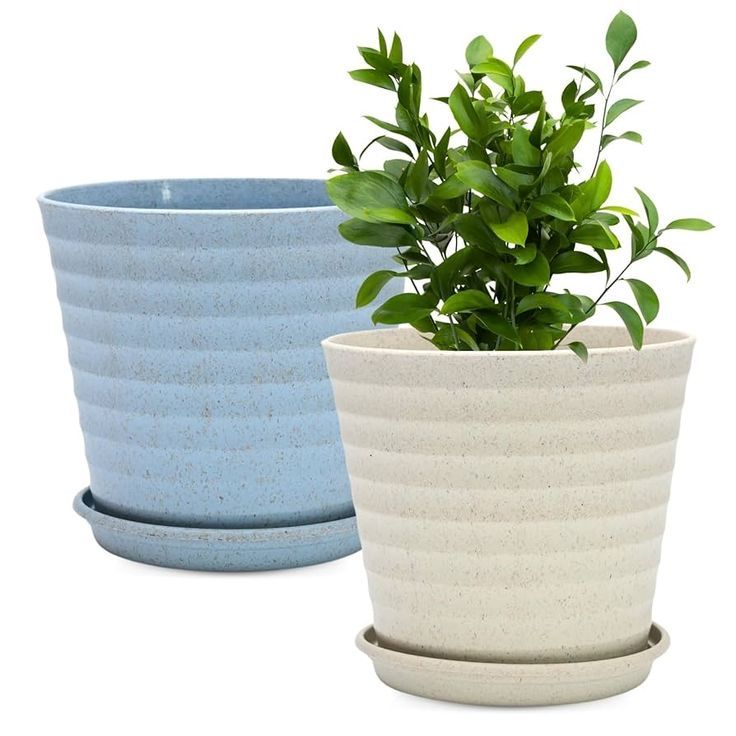 Textured Ceramic Planters with Drainage Tray