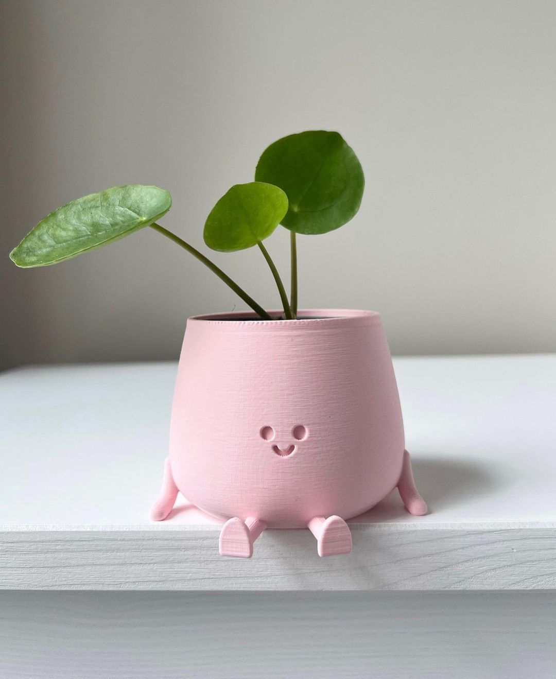 Cute Pink Smiling Planter