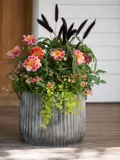 Galvanized Ribbed Planters