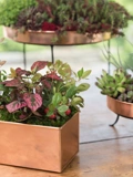 Tall Rectangular Copper Plant Tray, 18" x 5" x 4"
