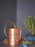 Indoor Watering Can Offers Precision Pouring