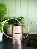 Indoor Watering Can Offers Precision Pouring