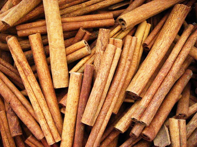 Canela Casca