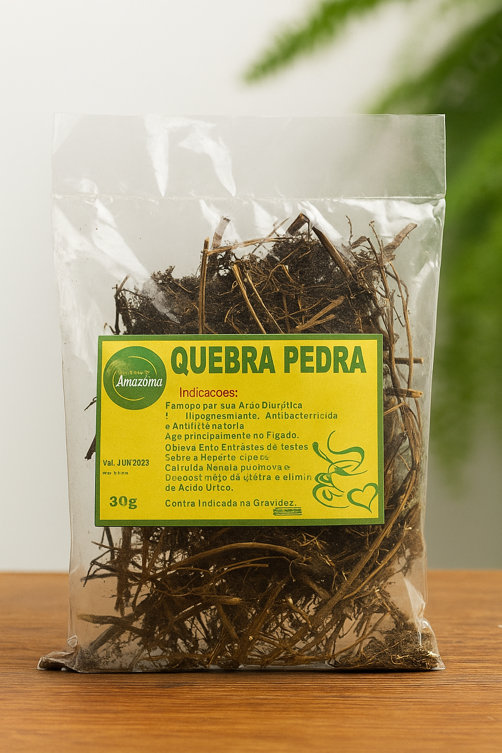 Quebra Pedra