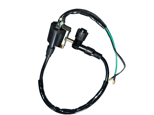 Arnés de cableado para motocicleta