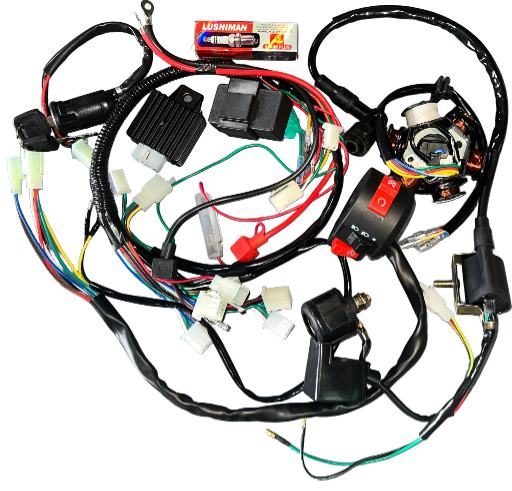 Arnés de cableado para motocicleta