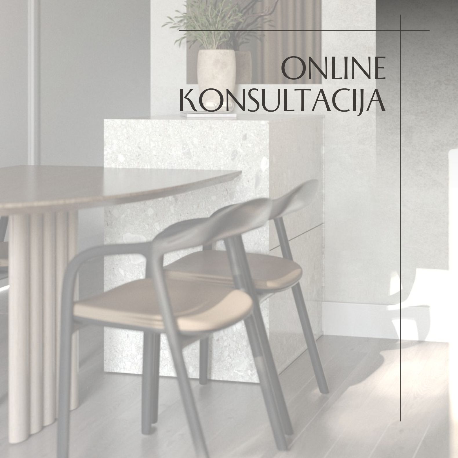 ONLINE konsultacija