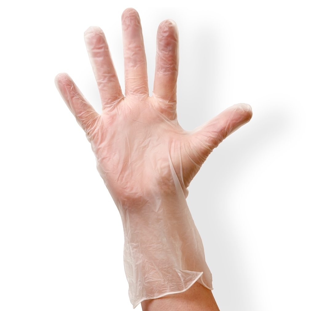 Clear Vinyl Glove (1000 pairs)
