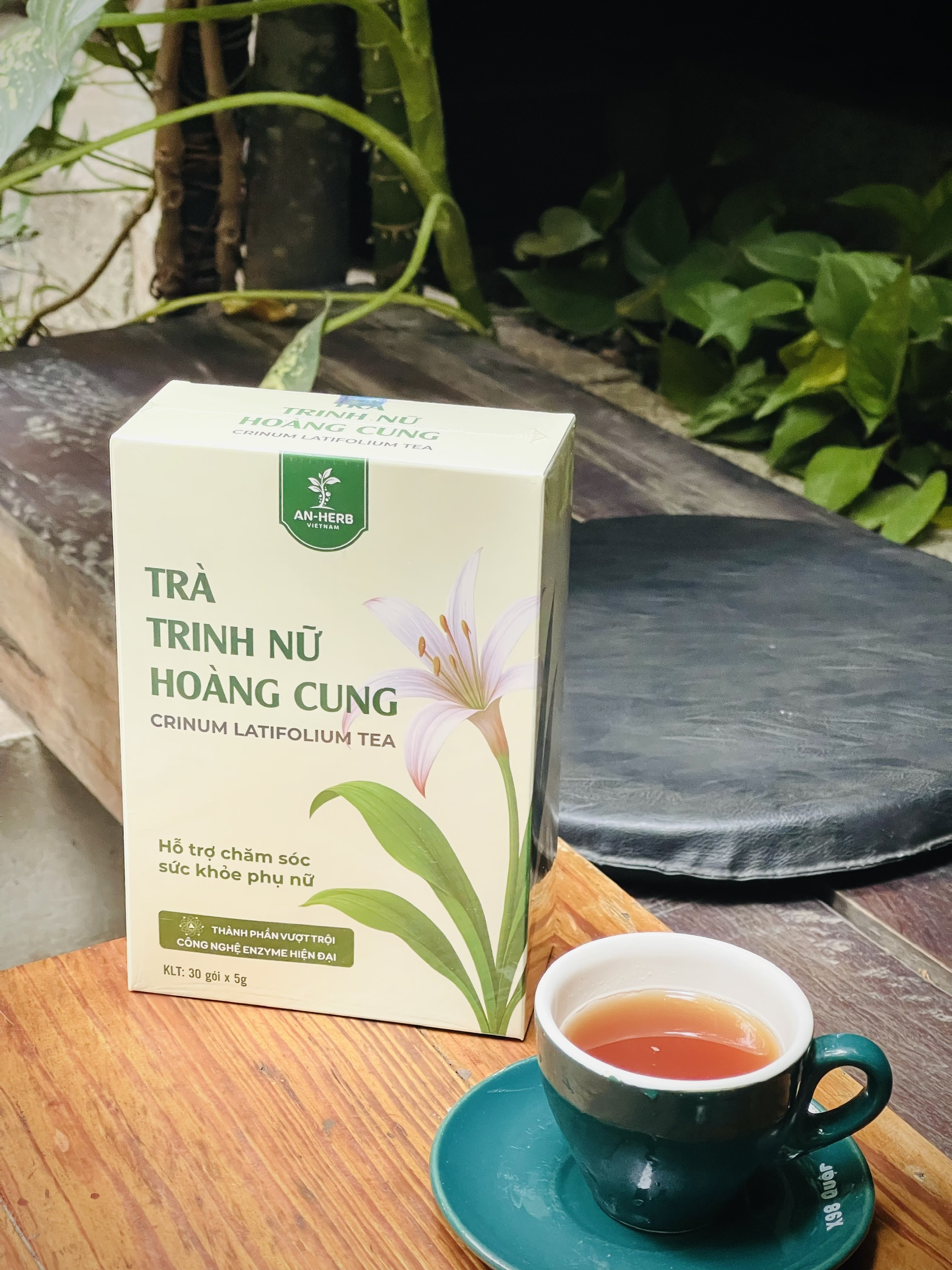 Trà Trinh nữ Hoàng cung