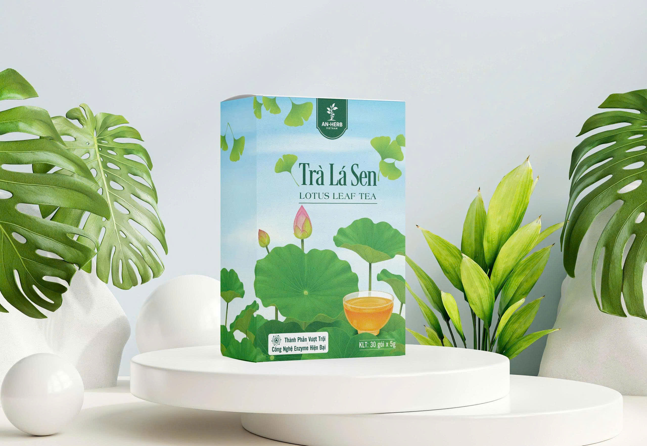 Trà búp sen cuộn