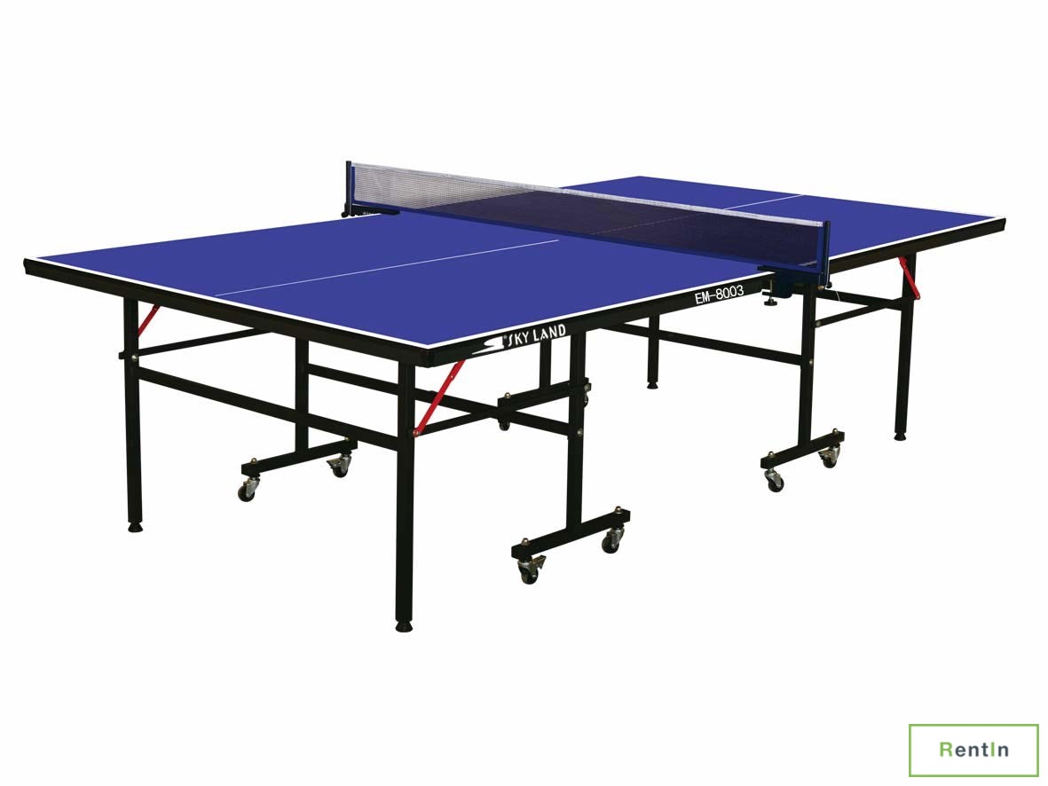 Table Tennis Table