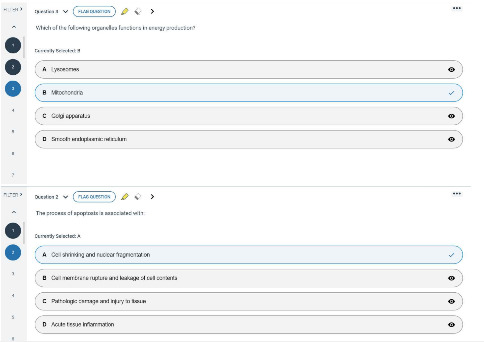 Fall 2025 NRSG 528D_701D_Mid term Exam
