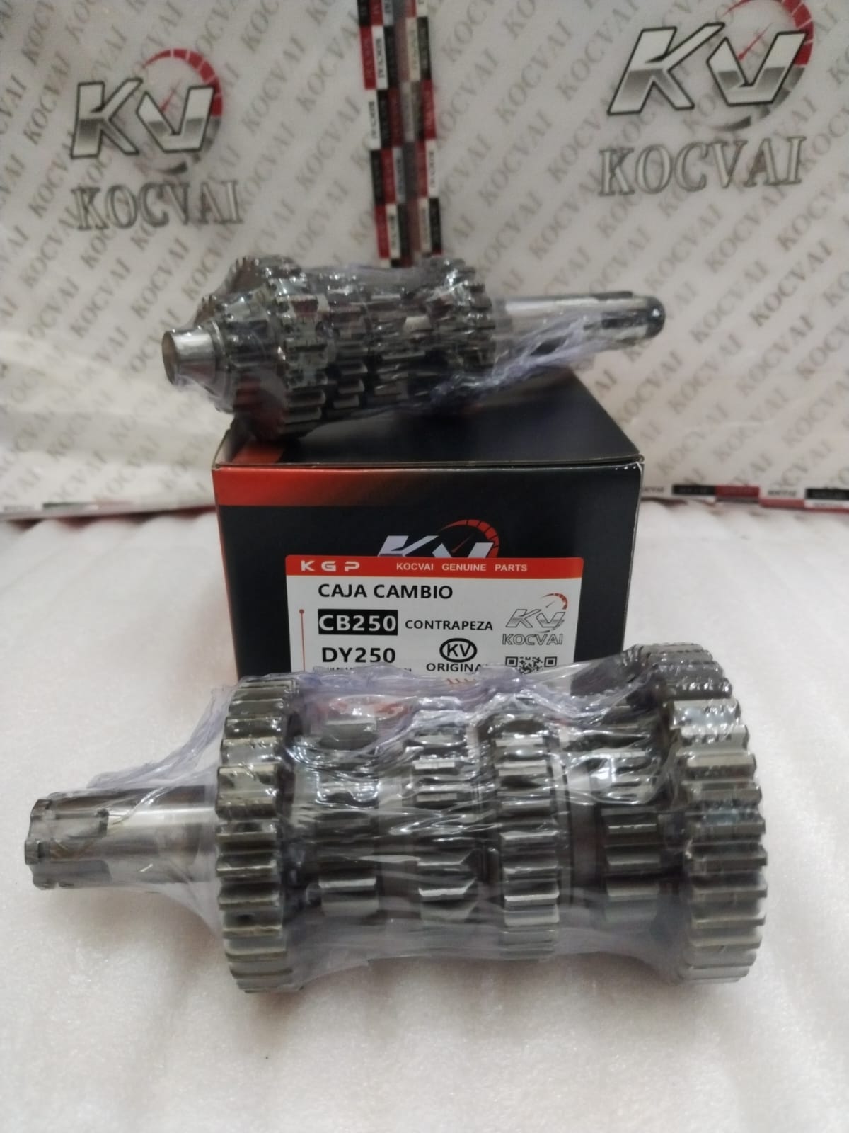 Caja de Cambio CB250/DY250