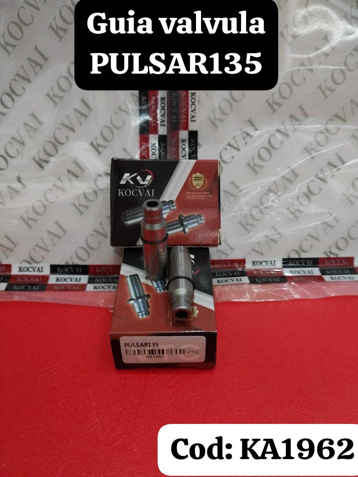 Guía de válvula Pulsar 135