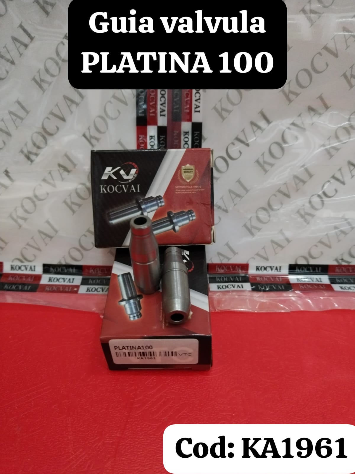 Guía válvula Platina 100