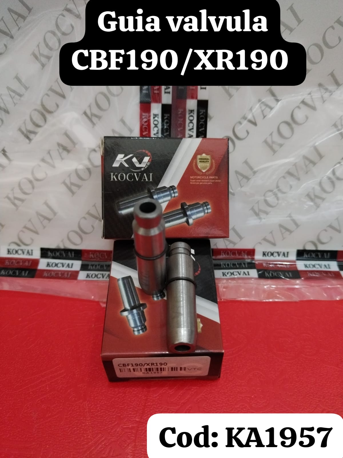 Guía de válvula CBF190/XR190