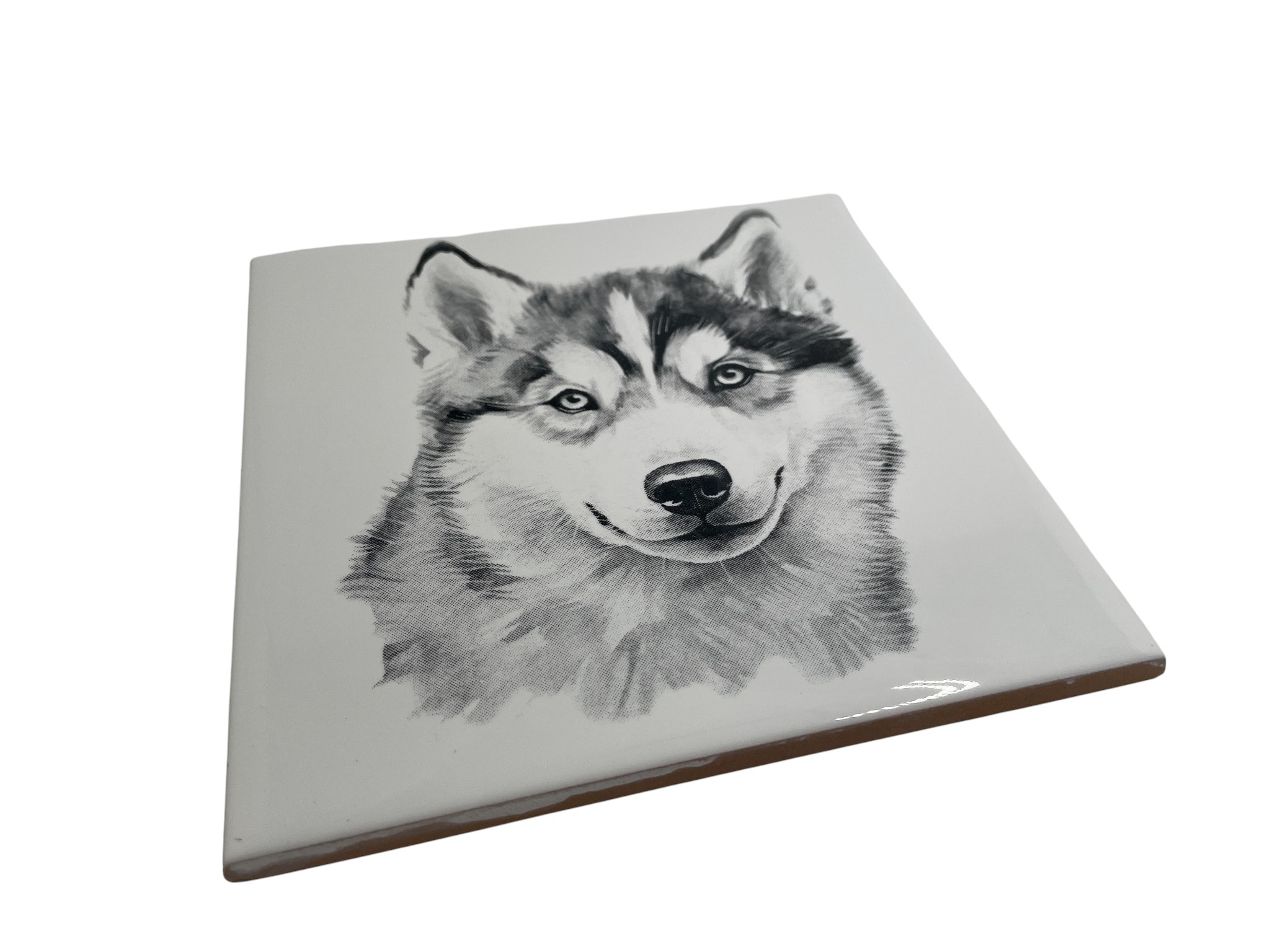 Laser Engraved Art Tile - Husky Puppy