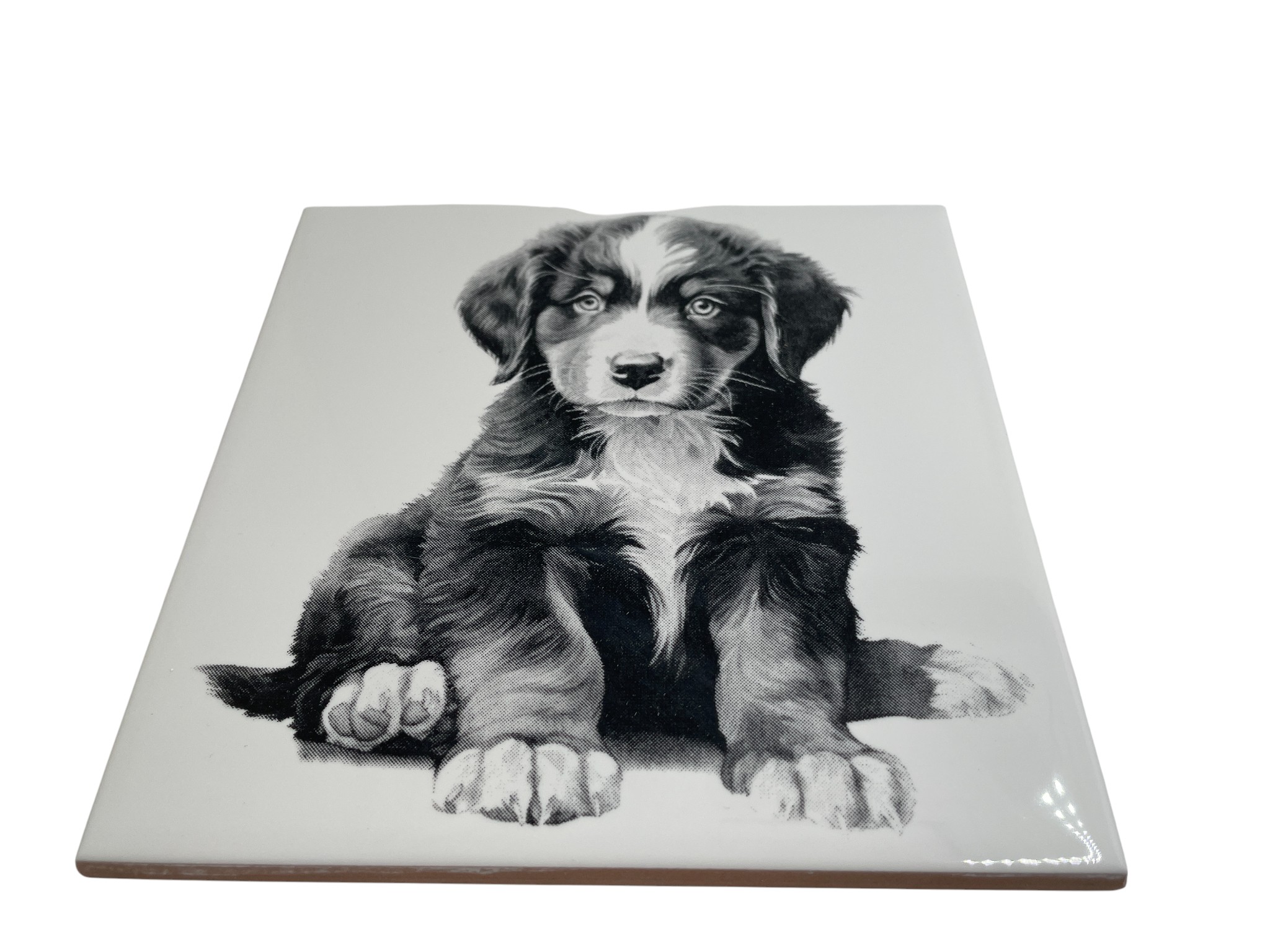 Laser Engraved Art Tile - Bernese Mountain Dog Puppy