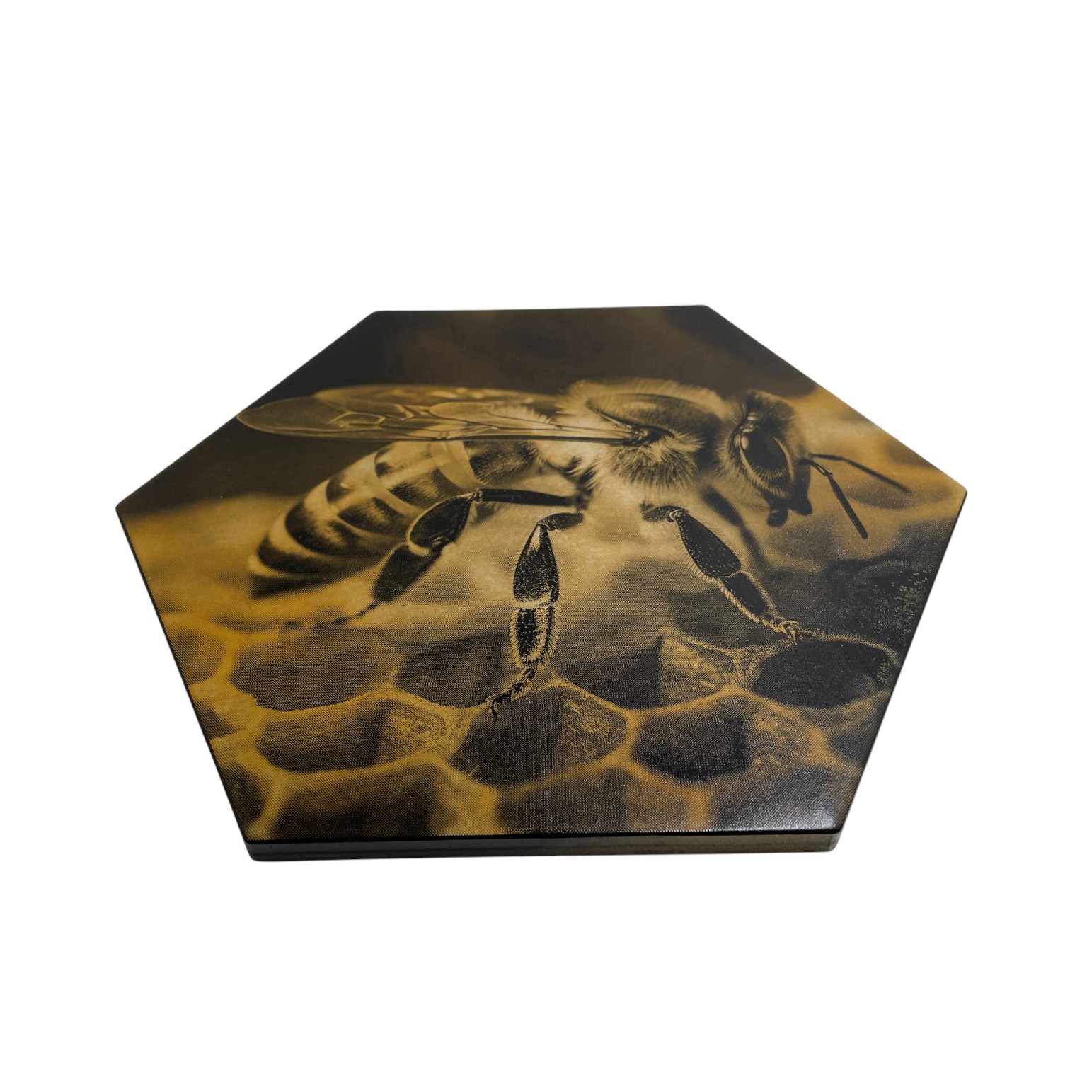 Colour Engraved GIANT Hex Tile - Busy Bee at Work