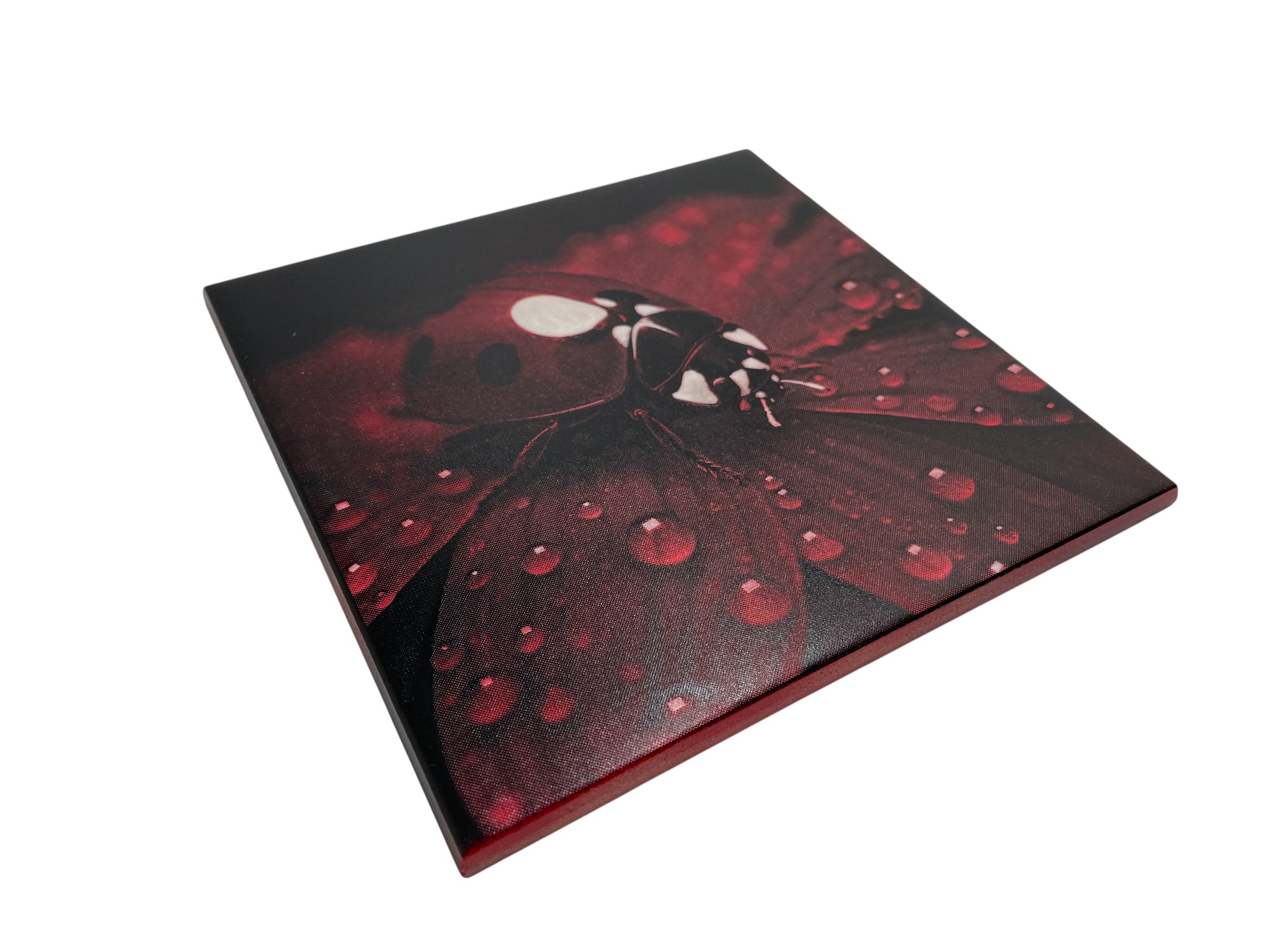 Colour Engraved Tile - Lady Bug