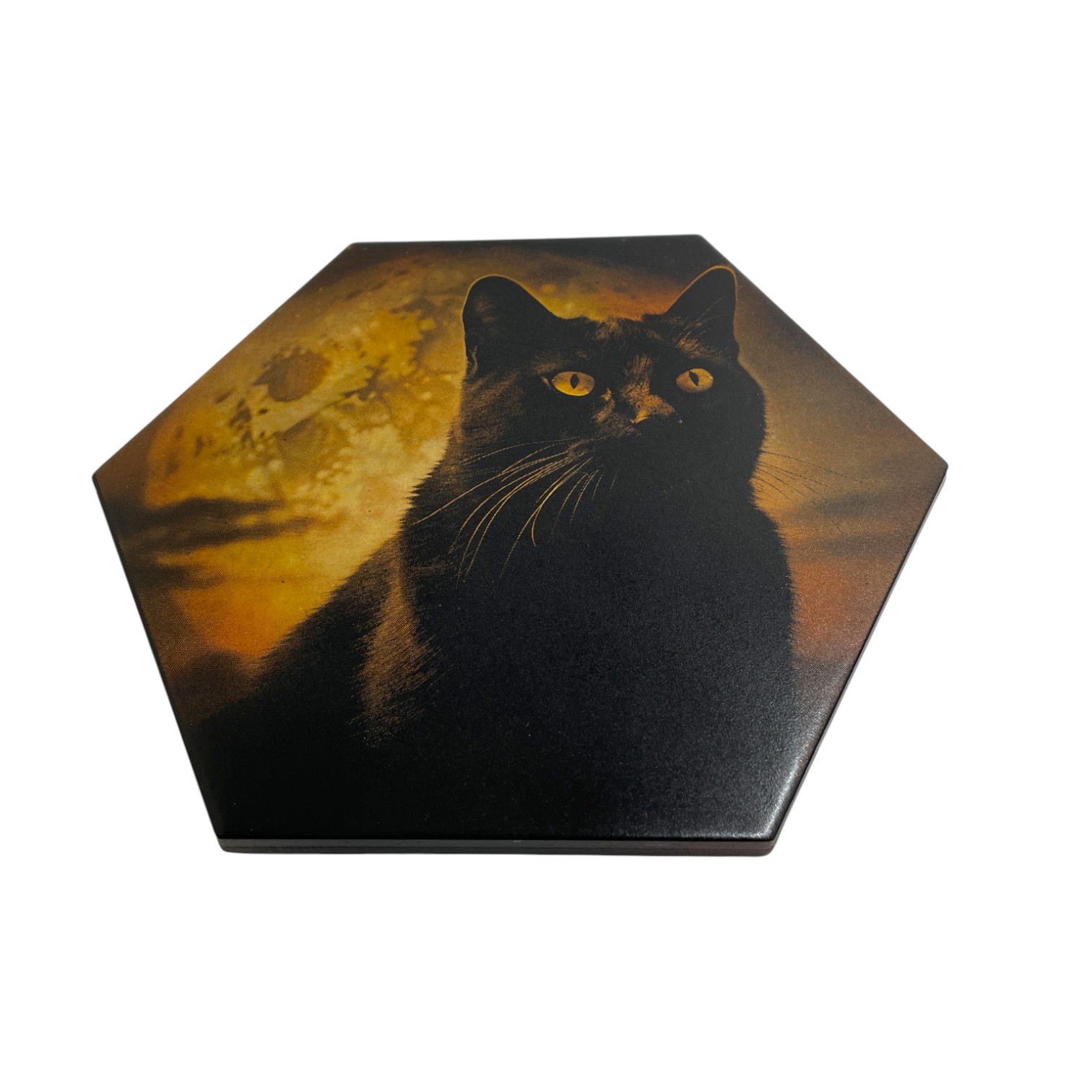 Colour Engraved GIANT Hex Tile - Black Cat in the Moonlight