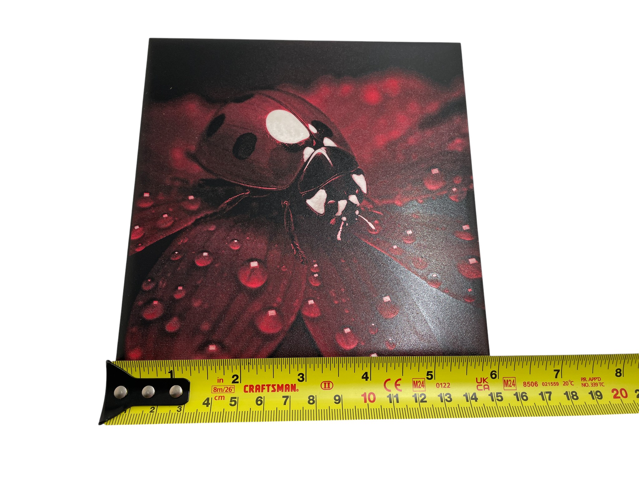 Colour Engraved Tile - Lady Bug