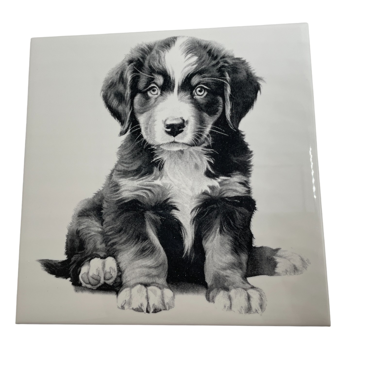 Laser Engraved Art Tile - Bernese Mountain Dog Puppy