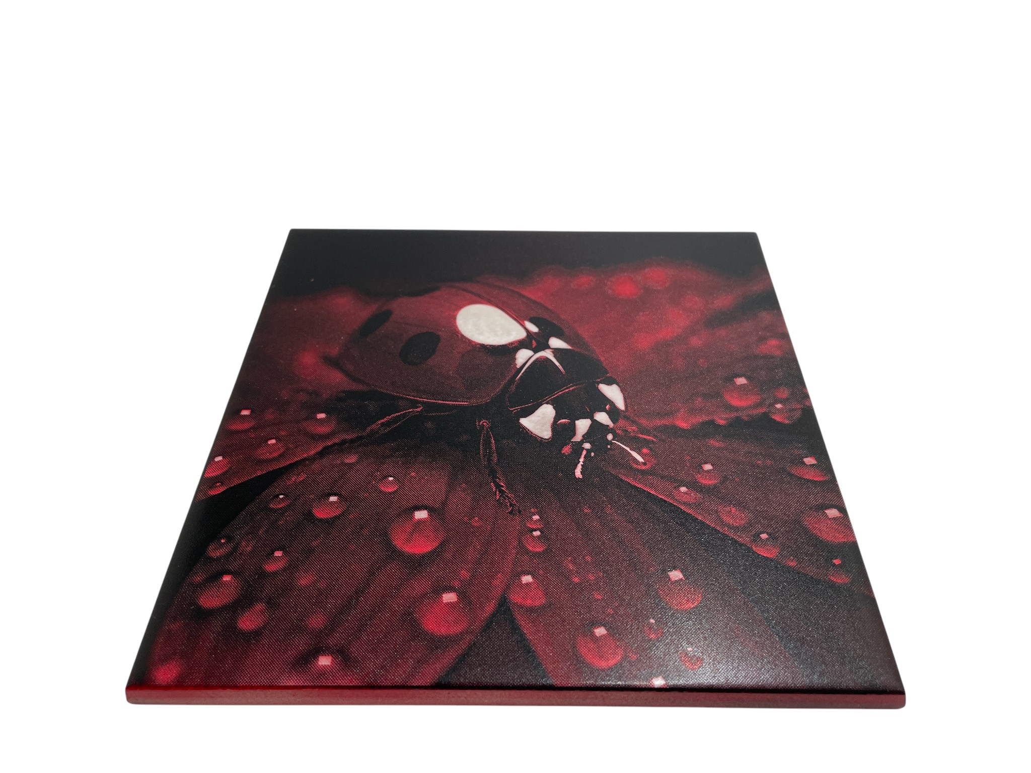 Colour Engraved Tile - Lady Bug