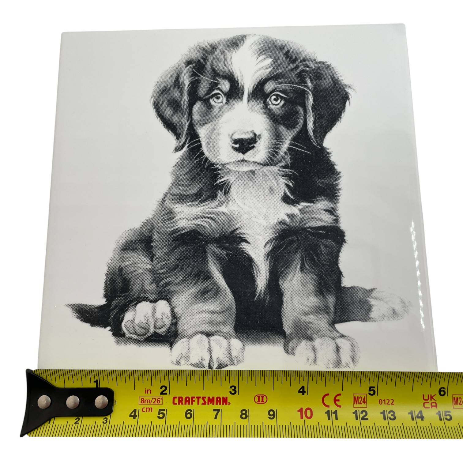 Laser Engraved Art Tile - Bernese Mountain Dog Puppy