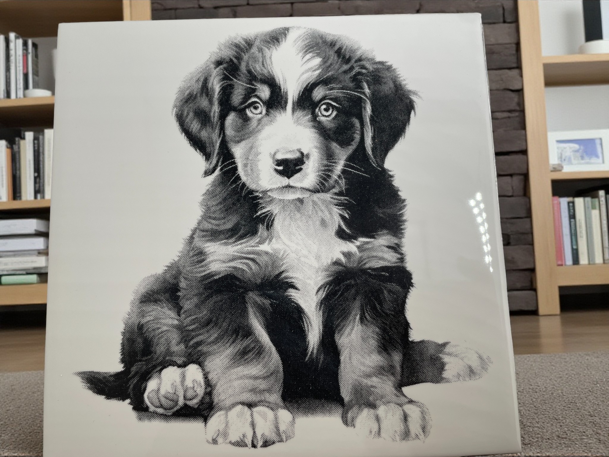 Laser Engraved Art Tile - Bernese Mountain Dog Puppy
