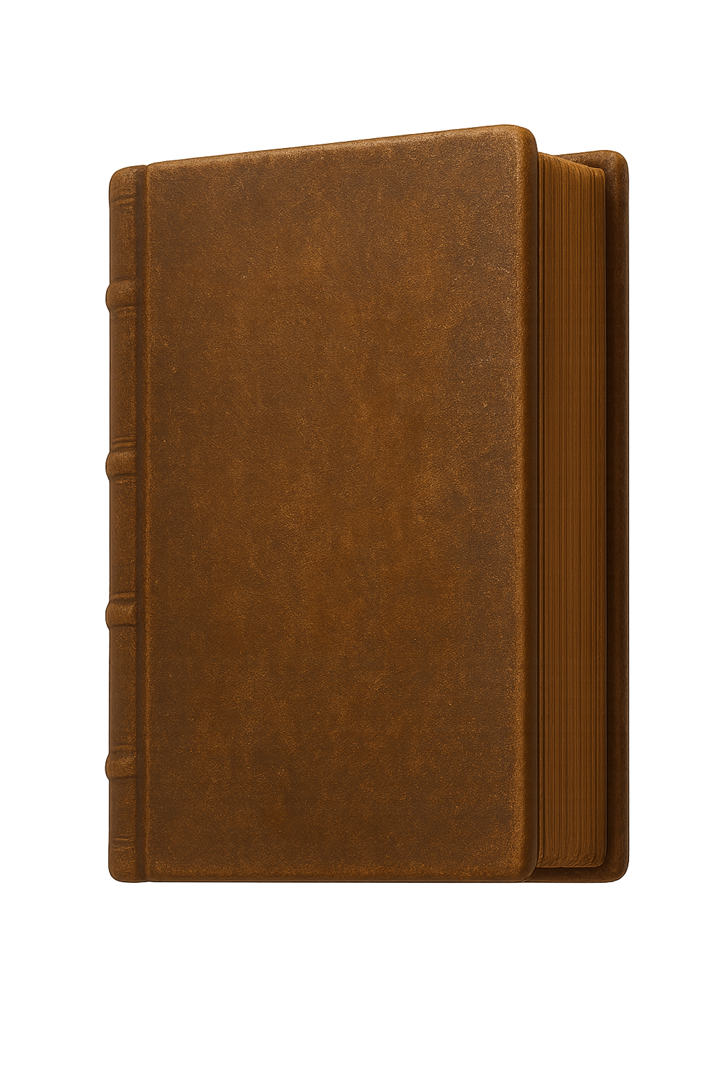 Terreno Digital (Historia o Biografía)