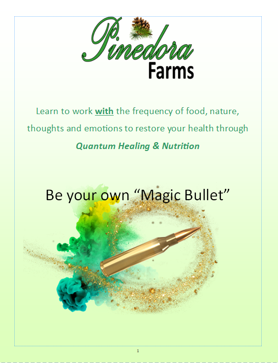 "Be Your Own Magic Bullet" health guide and workbook