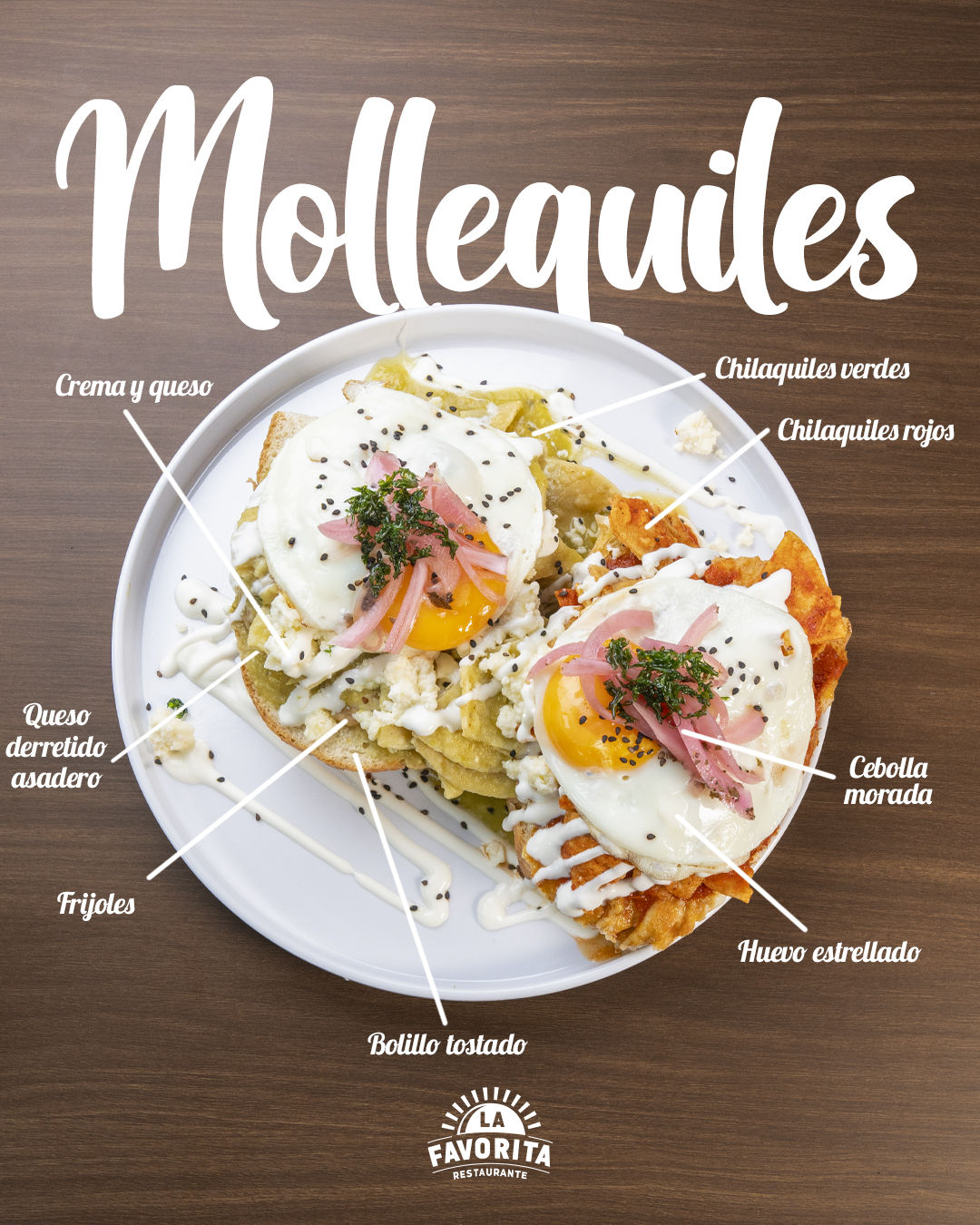 MOLLEQUILES